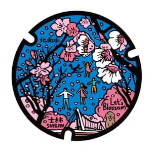 士林區_Let's Blossom陽明山上的野櫻花